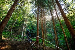 Der Shakedown Trail machte richtig Laune!