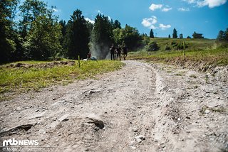 Kaum zu glauben, wie die Wiese aussieht, die in einer langgezogenen Rechtskurve in den Wald führt