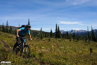 Trailflow