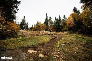 Der Boden war zum Trackwalk gut saturiert, aber größtenteils ideal.