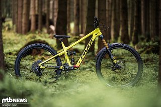 Das Pivot Firebird überzeugt auf ganzer Linie.