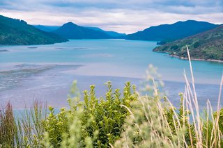 Die Aussichten in Neuseeland hauen uns immer wieder vom Hocker – Marlborough Sounds