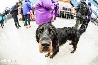 Das Wetter machte Fort William im vergangenen Jahr (fast) einen Strich durch die Rechnung Das Wetter machte Fort William im vergangenen Jahr (fast) einen Strich durch die Rechnung