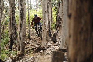 Während der fünftägigen Trans Madeira legten wir auf dem Nukeproof Mega 275c RS nicht nur über 250 km und Abertausende von Höhenmetern zurück, sondern fuhren auch insgesamt 29 verschiedene Trails.