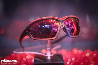 Die Adidas Evil Eye Evo ist das Top-Modell im Brillenangebot von Adidas Eyewear