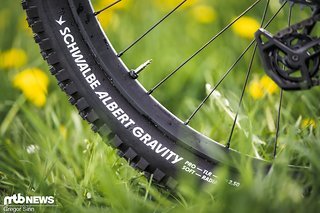 Um eine optimale Vergleichbarkeit zwischen den Bikes zu gewährleisten, haben wir einheitliche Reifen aus dem Hause Schwalbe verbaut