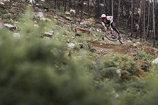 Josh Bryceland
