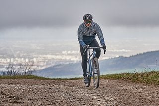 Fühlt sich im Schwarzwald genauso wohl wie in Südafrika