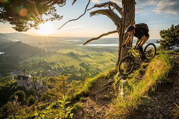 Foto des Tages