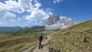 Foto des Tages