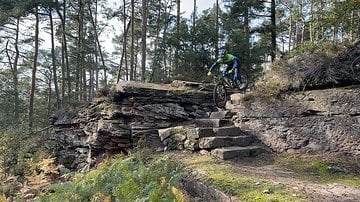 Foto des Tages