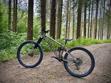Foto des Tages