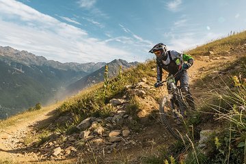 Foto des Tages