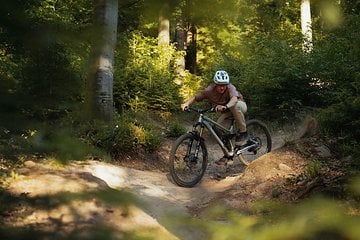 Foto des Tages