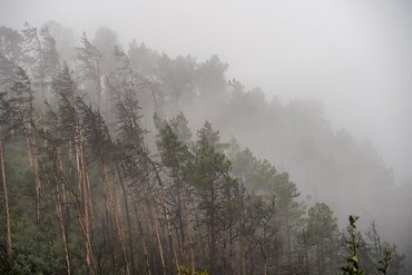 Nicht ganz das Wetter, dass man aus Südafrika beim Cape Epic gewöhnt ist. Nicht ganz das Wetter, dass man aus Südafrika beim Cape Epic gewöhnt ist.