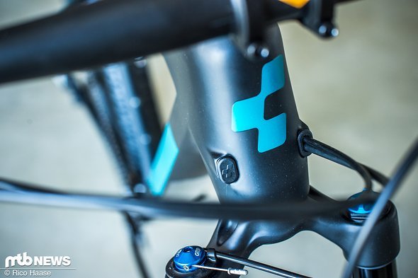 Laut Cube wurde beim Reaction einiges von dem bei der Entwicklung des Elite Race-Hardtails gewonnen Know-Hows angewendet. Laut Cube wurde beim Reaction einiges von dem bei der Entwicklung des Elite Race-Hardtails gewonnen Know-Hows angewendet.