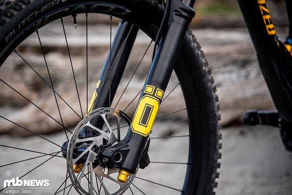 An der Front arbeitete bei unserem Testbike die Öhlins DH 29-Federgabel An der Front arbeitete bei unserem Testbike die Öhlins DH 29-Federgabel