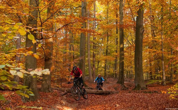 Fully vs. Hardtail Fully vs. Hardtail
