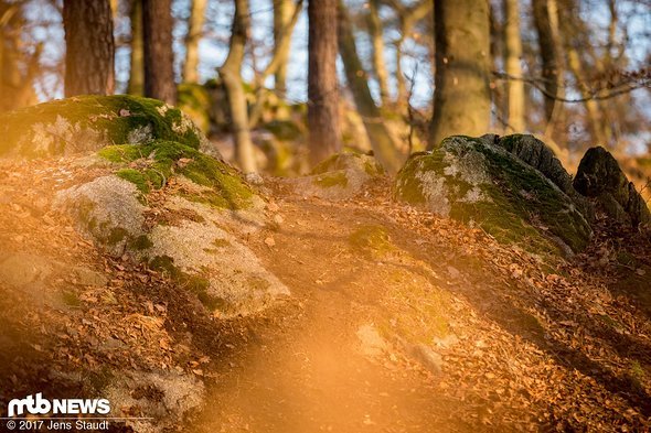 Frische Trails machen Spaß Frische Trails machen Spaß