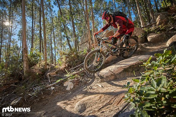 Bei einem 190 cm langen Testfahrer wirkt die XXL-Größe gar nicht mehr so groß … Bei einem 190 cm langen Testfahrer wirkt die XXL-Größe gar nicht mehr so groß …