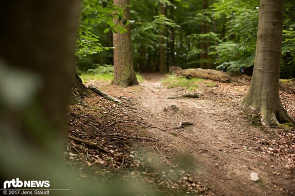 Landungen, Kurven, Wellen – wo kann man Gegenhalt durch Dämpfung bekommen und wo muss man an die Abstimmung der Feder? Landungen, Kurven, Wellen – wo kann man Gegenhalt durch Dämpfung bekommen und wo muss man an die Abstimmung der Feder?