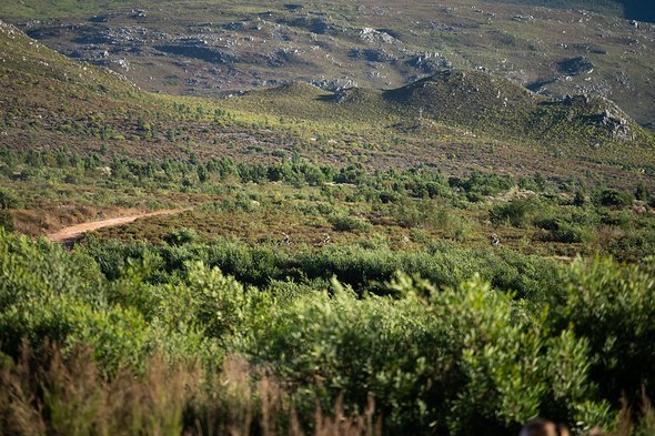 Es wechseln sich mal wieder fireroads und Trails in unglaublicher Landschaft ab. Nur schade, dass ich während dem Rennen keine Zeit habe es zu genießen. Es wechseln sich mal wieder fireroads und Trails in unglaublicher Landschaft ab. Nur schade, dass ich während dem Rennen keine Zeit habe es zu genießen.