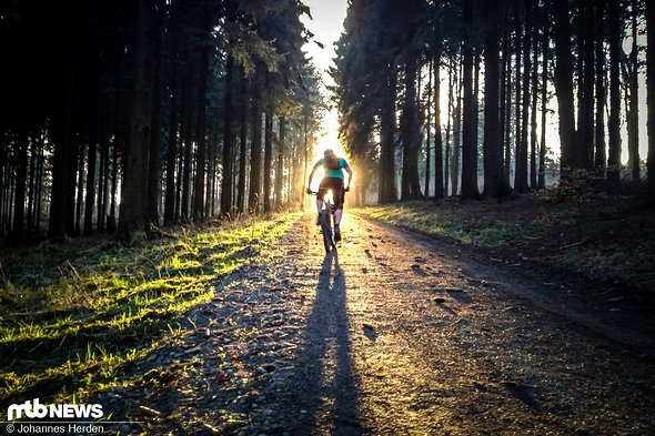 Außergewöhnlicher Zeitpunkt I: Der Fahrer befindet sich genau vor der Sonne, die präzise in den Forstweg hineinscheint Außergewöhnlicher Zeitpunkt I: Der Fahrer befindet sich genau vor der Sonne, die präzise in den Forstweg hineinscheint