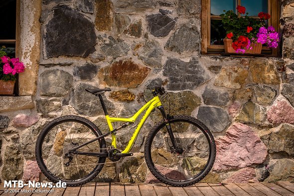 Specialized Rumor 29" Specialized Rumor 29"