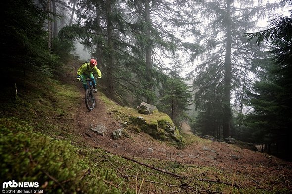 Die Abfahrt auf dem Ötzitrail in Naturns bietet nach 700 Höhenmetern Anstieg mit feinstem Downhill über losen Waldboden in Abwechslung mit felsigen Abschnitten beste Testbedingungen für ein Enduro-Laufrad Die Abfahrt auf dem Ötzitrail in Naturns bietet nach 700 Höhenmetern Anstieg mit feinstem Downhill über losen Waldboden in Abwechslung mit felsigen Abschnitten beste Testbedingungen für ein Enduro-Laufrad