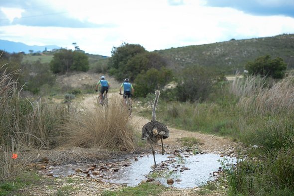 2018 Stage 1 Health Cape Pioneer Trek presented by Biogen captured by Marike Cronje for www.zcmc.co 2018 Stage 1 Health Cape Pioneer Trek presented by Biogen captured by Marike Cronje for www.zcmc.co