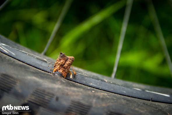 Die häufigste Form des Plattens in unserem Test waren Snakebites, mit je zwei Löchern an der Reifenflanke Die häufigste Form des Plattens in unserem Test waren Snakebites, mit je zwei Löchern an der Reifenflanke