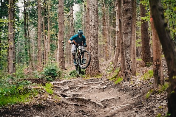 Die Freiburger Hausstrecken bieten sich auf jeden Fall als geeignetes Trainingsgebiet für Endurorennfahrer an Die Freiburger Hausstrecken bieten sich auf jeden Fall als geeignetes Trainingsgebiet für Endurorennfahrer an