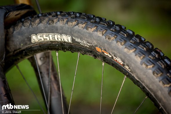 Maxxis Assegai Maxxis Assegai