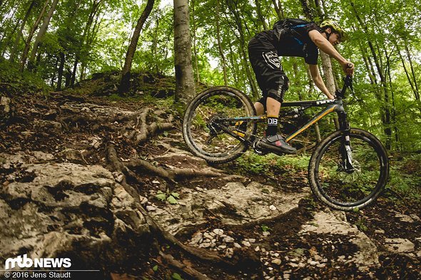 Als Enduroreifen in EXO TR-Ausführung empfanden wir die Dämpfung der Karkasse als etwas zu gering. Maxxis' DH-Karkasse war dagegen genau richtig. Als Enduroreifen in EXO TR-Ausführung empfanden wir die Dämpfung der Karkasse als etwas zu gering. Maxxis' DH-Karkasse war dagegen genau richtig.