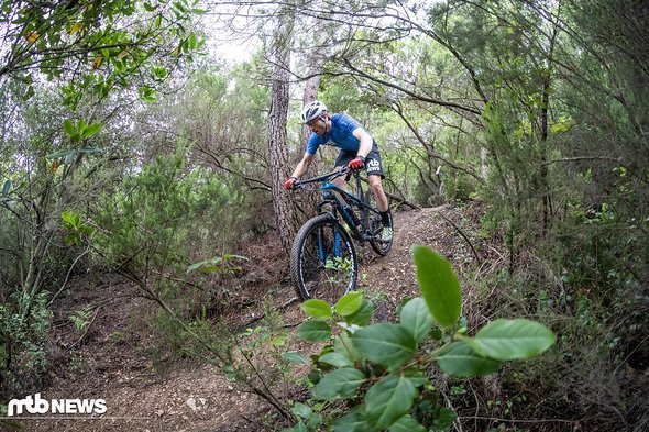 Auch im Downhill kann uns das Rad überzeugen Auch im Downhill kann uns das Rad überzeugen