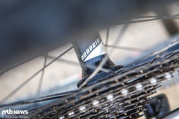 … von Propain gebrandeten Naben. Diese Kombination hat sich in unserem Test als sehr haltbar erwiesen! … von Propain gebrandeten Naben. Diese Kombination hat sich in unserem Test als sehr haltbar erwiesen!