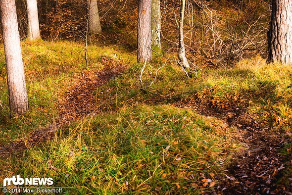 Besser könnte der Untergrund für ein Fatbike nicht sein Besser könnte der Untergrund für ein Fatbike nicht sein