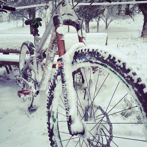 Feinfühlig auch im Winter Feinfühlig auch im Winter