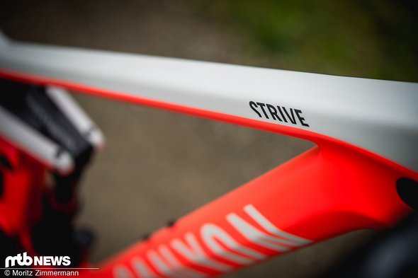 Die CFR-Version des Canyon Strive wurde vor einem Jahr mit dem neuen Modell vorgestellt Die CFR-Version des Canyon Strive wurde vor einem Jahr mit dem neuen Modell vorgestellt