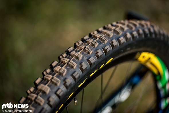 Es wirkt so, als ob Greg in Cairns nicht auf seinen Signature-Reifen, sondern den bewährten Maxxis Minion DHR II setzen wird. Es wirkt so, als ob Greg in Cairns nicht auf seinen Signature-Reifen, sondern den bewährten Maxxis Minion DHR II setzen wird.