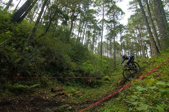 Die Trails hier sind einfach unglaublich gut – alle von Hand gebaut, manche auf alten Wanderpfaden, manche komplett frisch gebuddelt Die Trails hier sind einfach unglaublich gut – alle von Hand gebaut, manche auf alten Wanderpfaden, manche komplett frisch gebuddelt