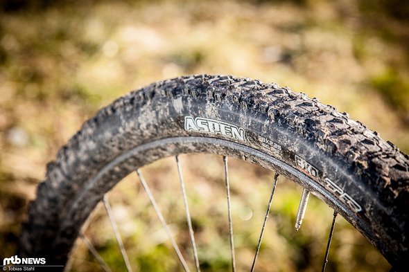 Nicht nur Nino Schurters Wahl: Die Maxxis Aspen EXO TR-Reifen haben auch bei uns im Test rundum überzeugen können Nicht nur Nino Schurters Wahl: Die Maxxis Aspen EXO TR-Reifen haben auch bei uns im Test rundum überzeugen können