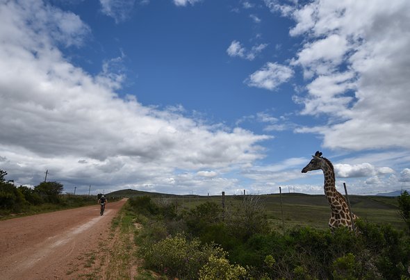 2018 Stage 1 Health Cape Pioneer Trek presented by Biogen captured by Marike Cronje for www.zcmc.co 2018 Stage 1 Health Cape Pioneer Trek presented by Biogen captured by Marike Cronje for www.zcmc.co