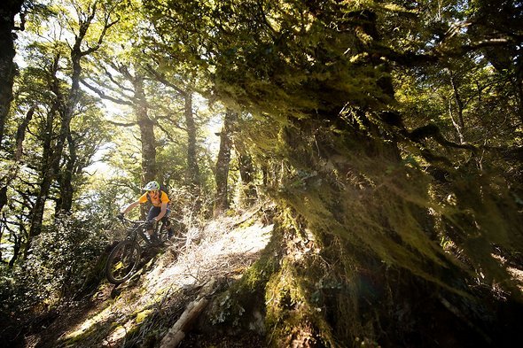Die fahrtechnisch anspruchsvollen Trails rund um Nelson boten eine sehr gute Testbasis Die fahrtechnisch anspruchsvollen Trails rund um Nelson boten eine sehr gute Testbasis