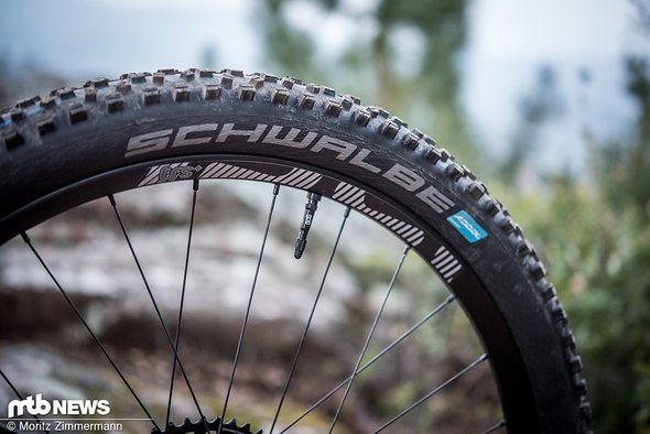 Am Hinterrad verbaut Radon einen schnell rollenden Schwalbe Hans Dampf-Reifen in Addix Speedgrip-Mischung Am Hinterrad verbaut Radon einen schnell rollenden Schwalbe Hans Dampf-Reifen in Addix Speedgrip-Mischung
