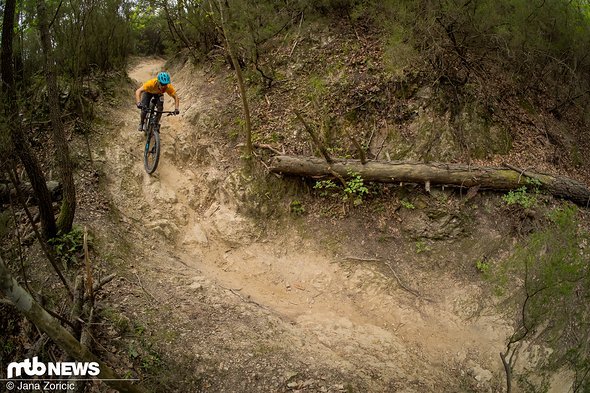 Auf steinigen, schnellen Trails hatten wir zwei Durchschläge des Vorderreifens auf die Felge aus Carbon. Auf steinigen, schnellen Trails hatten wir zwei Durchschläge des Vorderreifens auf die Felge aus Carbon.