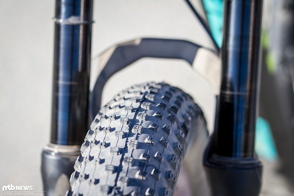 Die Bontrager Chupacabra Reifen in 29 x 3,0" haben ein flaches Profil, das ideal sein sollte für die Bedingungen beim Sea Otter Classic Die Bontrager Chupacabra Reifen in 29 x 3,0" haben ein flaches Profil, das ideal sein sollte für die Bedingungen beim Sea Otter Classic
