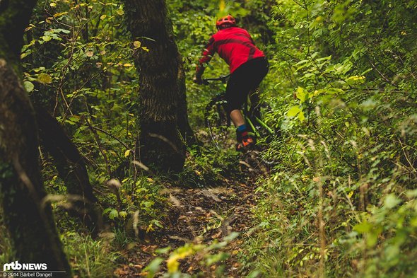 Abtauchen bei der ausgedehnten Trailsuche Abtauchen bei der ausgedehnten Trailsuche