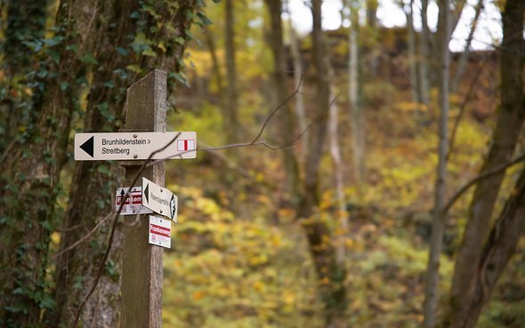 Der Brunnhildenstein ist einer von zahlreichen Aussichtspunkten, von denen man aus dem Wald heraus in die Umgebung und ins Tal blicken kann. Ideal sind diese kleinen Aussichtspunkte auch als Picknickorte. Der Brunnhildenstein ist einer von zahlreichen Aussichtspunkten, von denen man aus dem Wald heraus in die Umgebung und ins Tal blicken kann. Ideal sind diese kleinen Aussichtspunkte auch als Picknickorte.