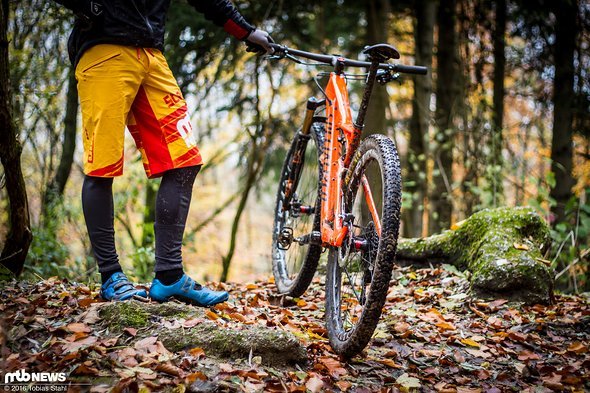 Schneller Reifen für schöne Tage - bei feuchtem Herbst- und Winterwetter fällt der Aspen auch wegen der härteren Gummiischung gegenüber den grobstolligeren Brüdern zurück Schneller Reifen für schöne Tage - bei feuchtem Herbst- und Winterwetter fällt der Aspen auch wegen der härteren Gummiischung gegenüber den grobstolligeren Brüdern zurück